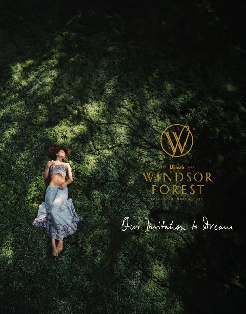 Windsor Forest - Our invitation to dream
